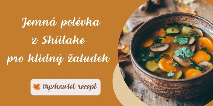 žaludek polévka (700 x 350 px)